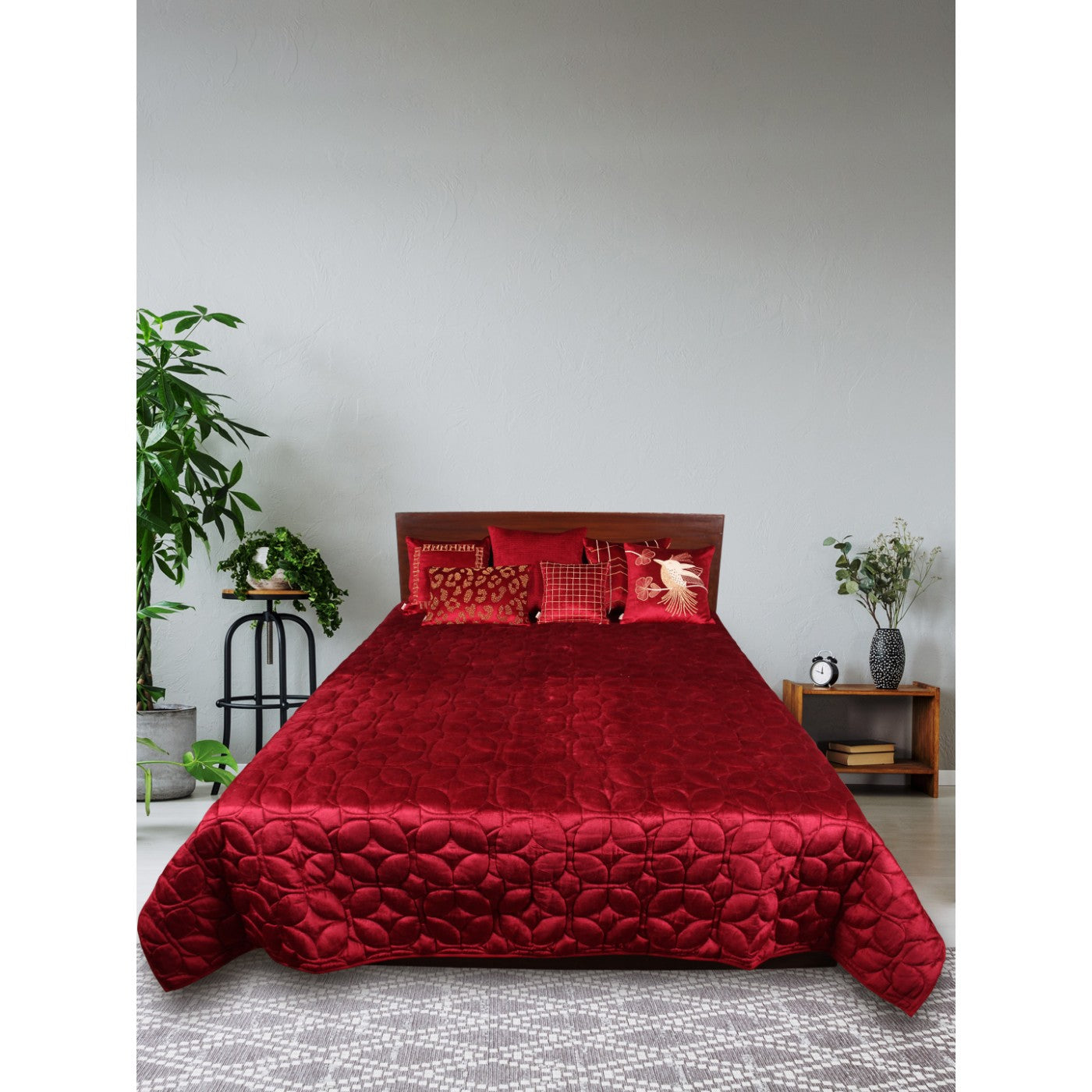 Buy Luxurious Embroidered Velvet Quilt with Cushion Cover Set