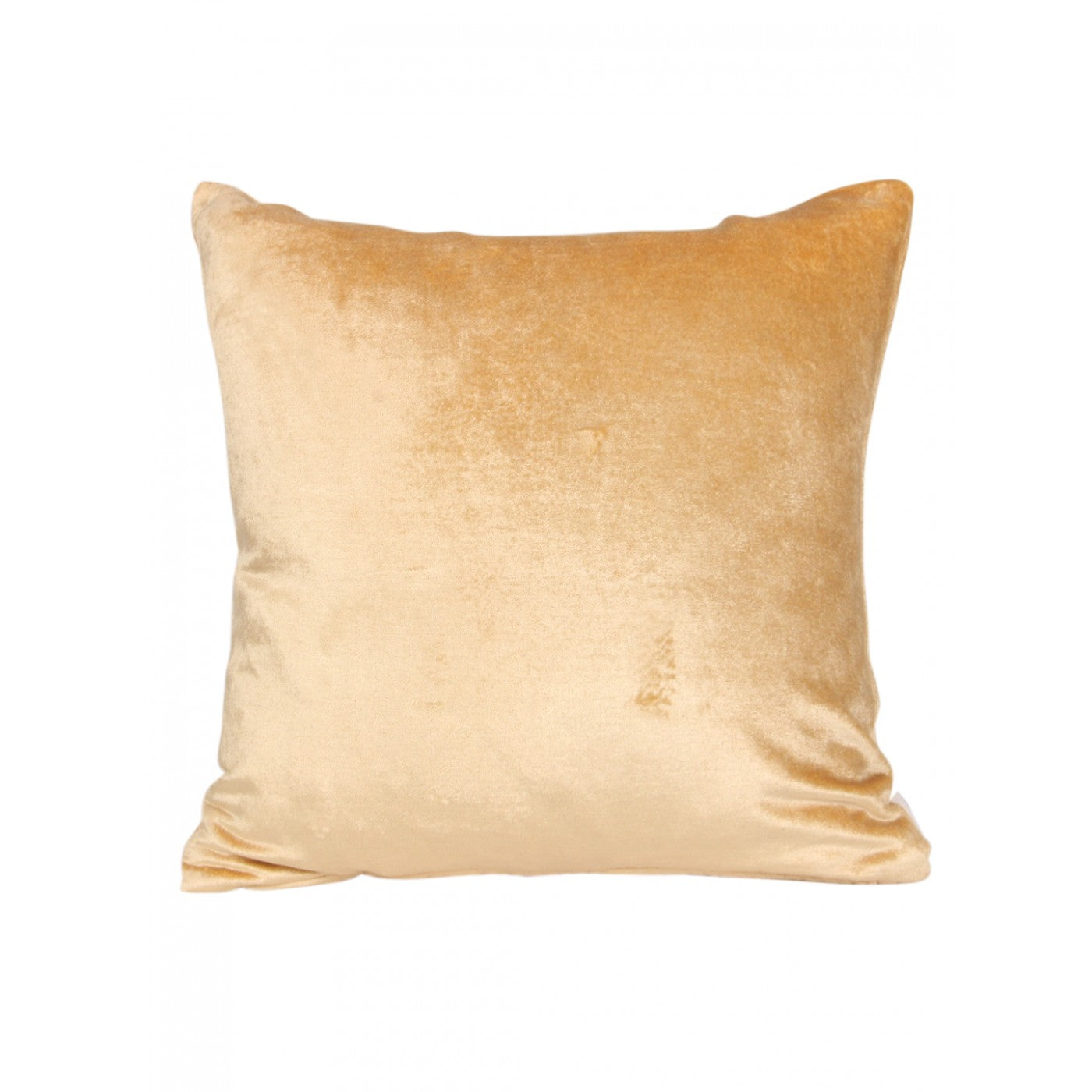 Botanic Elegance 16x16 Inch Floral Embroidered Beige Velvet Cushion Cover